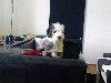 Amy